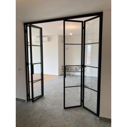 Folding door Accordion SK1