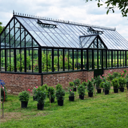 Steel luxury greenhouse...